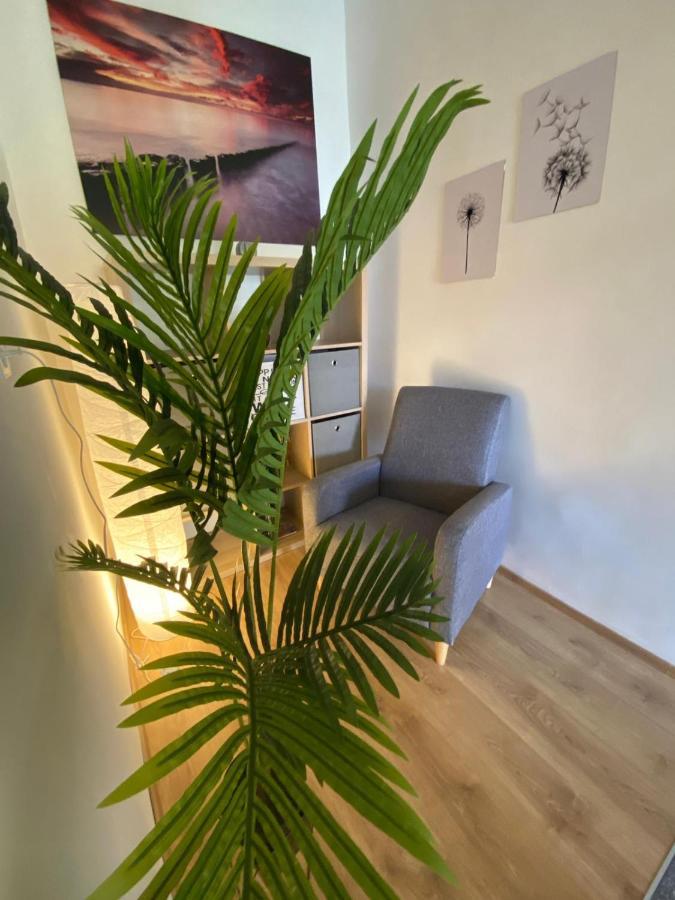 Apartment Dora Zadar Eksteriør bilde