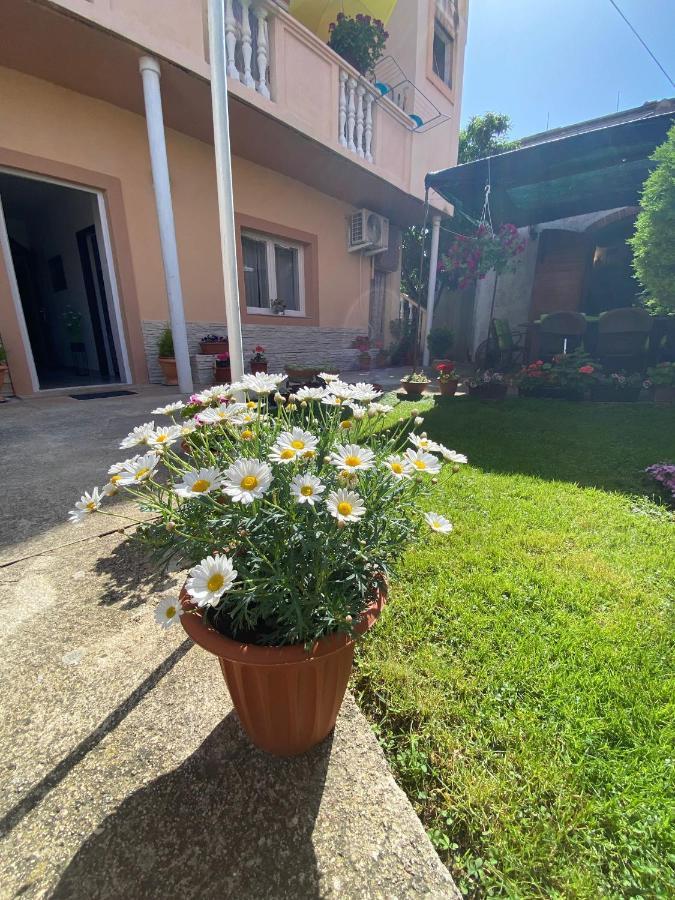 Apartment Dora Zadar Eksteriør bilde